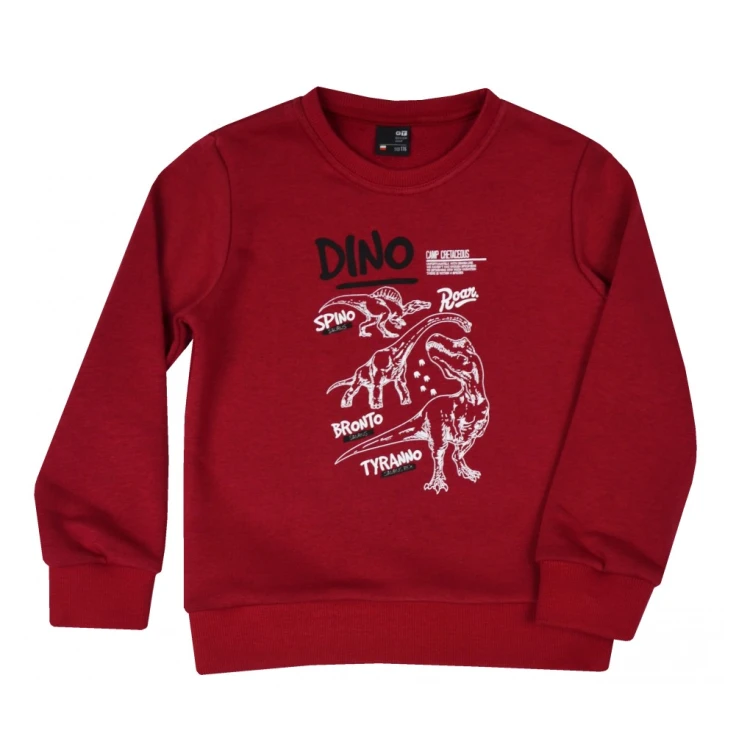 bluza chłopięca