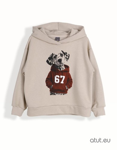 bluza z kapturem